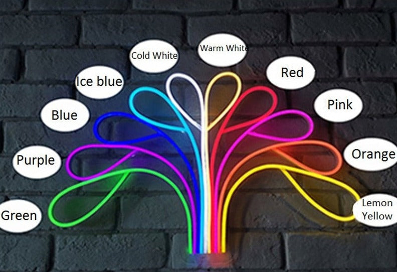 Creation Of Adam Neon Light
