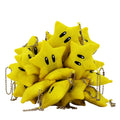 Mario Invincibility Star Keychain