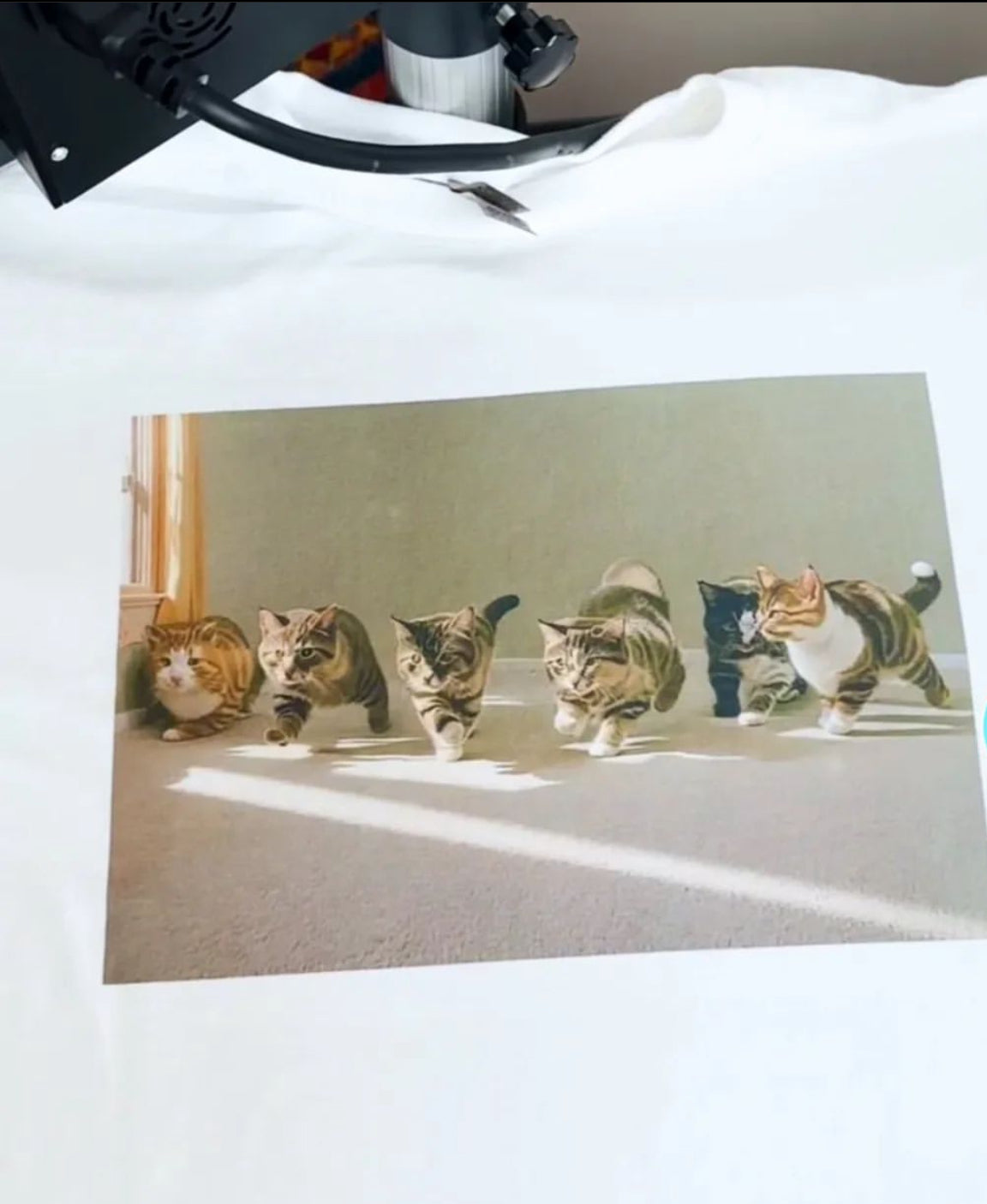 "Gay Sex" Cat Tee
