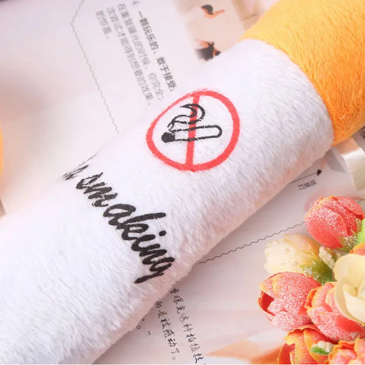 30-110cm No Smoking Cigarette Pillow
