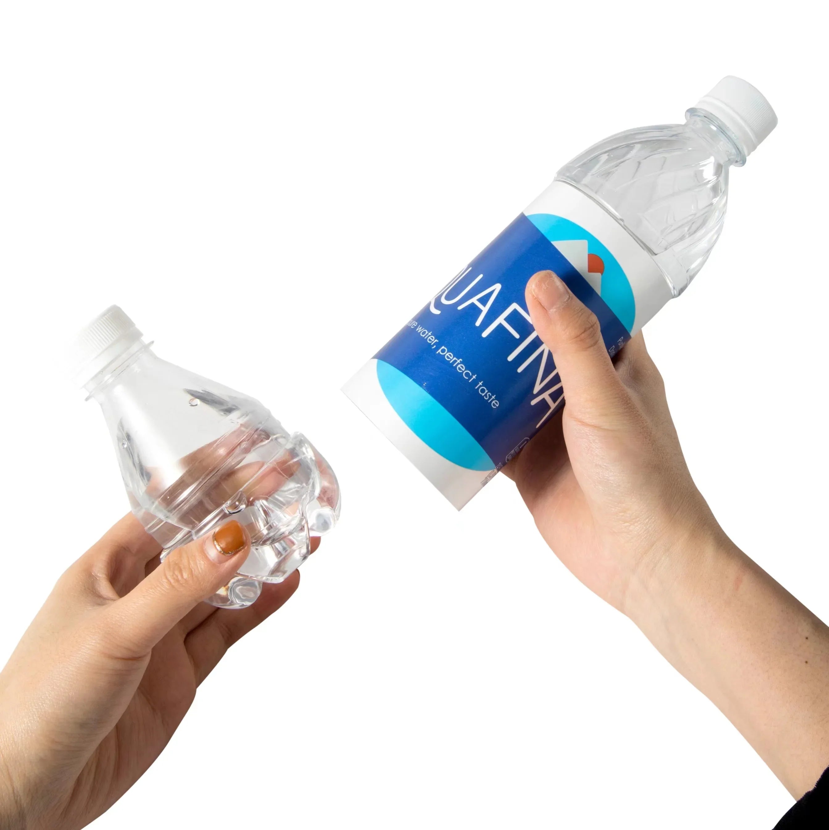 Aquafina Water Bottle Hidden Stash Container