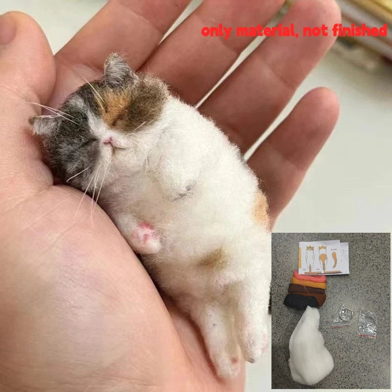 Wool Handpoke Cat Felting Kit
