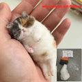 Wool Handpoke Cat Felting Kit