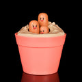 Muscular Dugtrio Diglett Sculpture