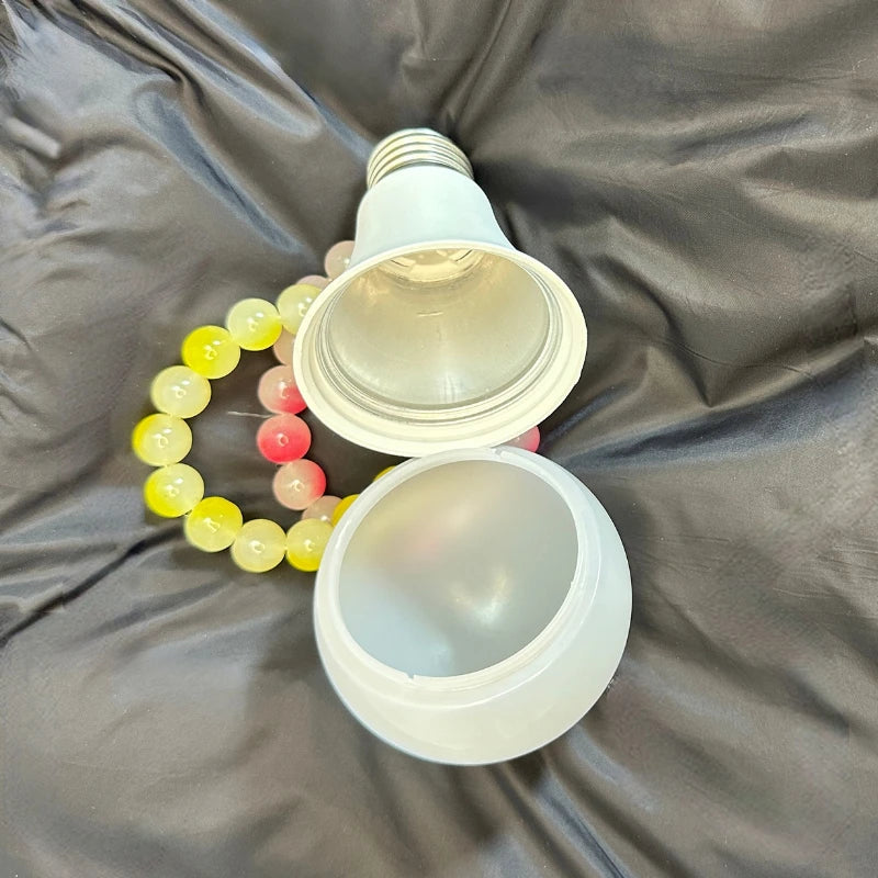 Secret Hiding Light Bulb