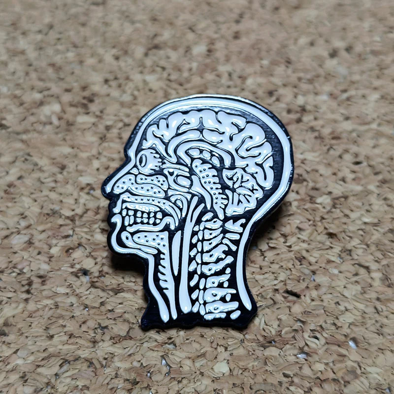 Anatomical Human Head Pin