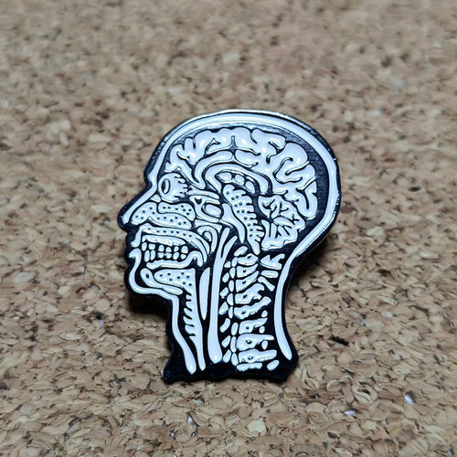 Anatomical Human Head Pin