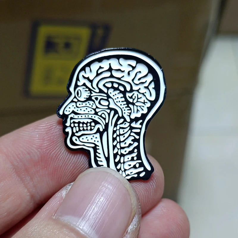 Anatomical Human Head Pin