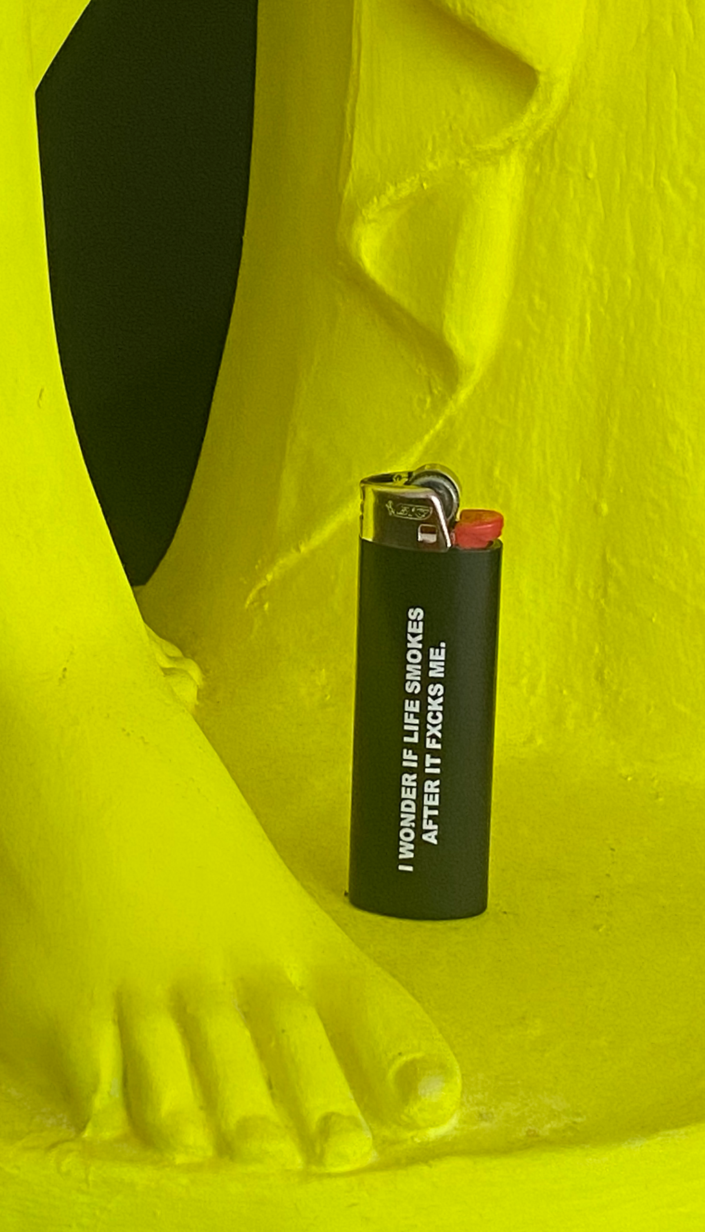 "I Wonder If Life Smokes After It Fucks Me" Lighter