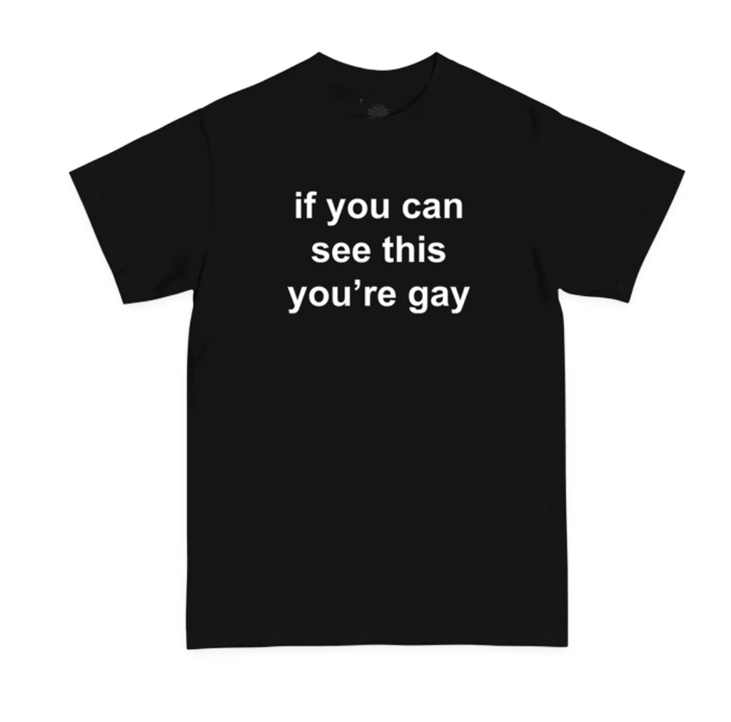 "If You Can See This You're Gay" Tee