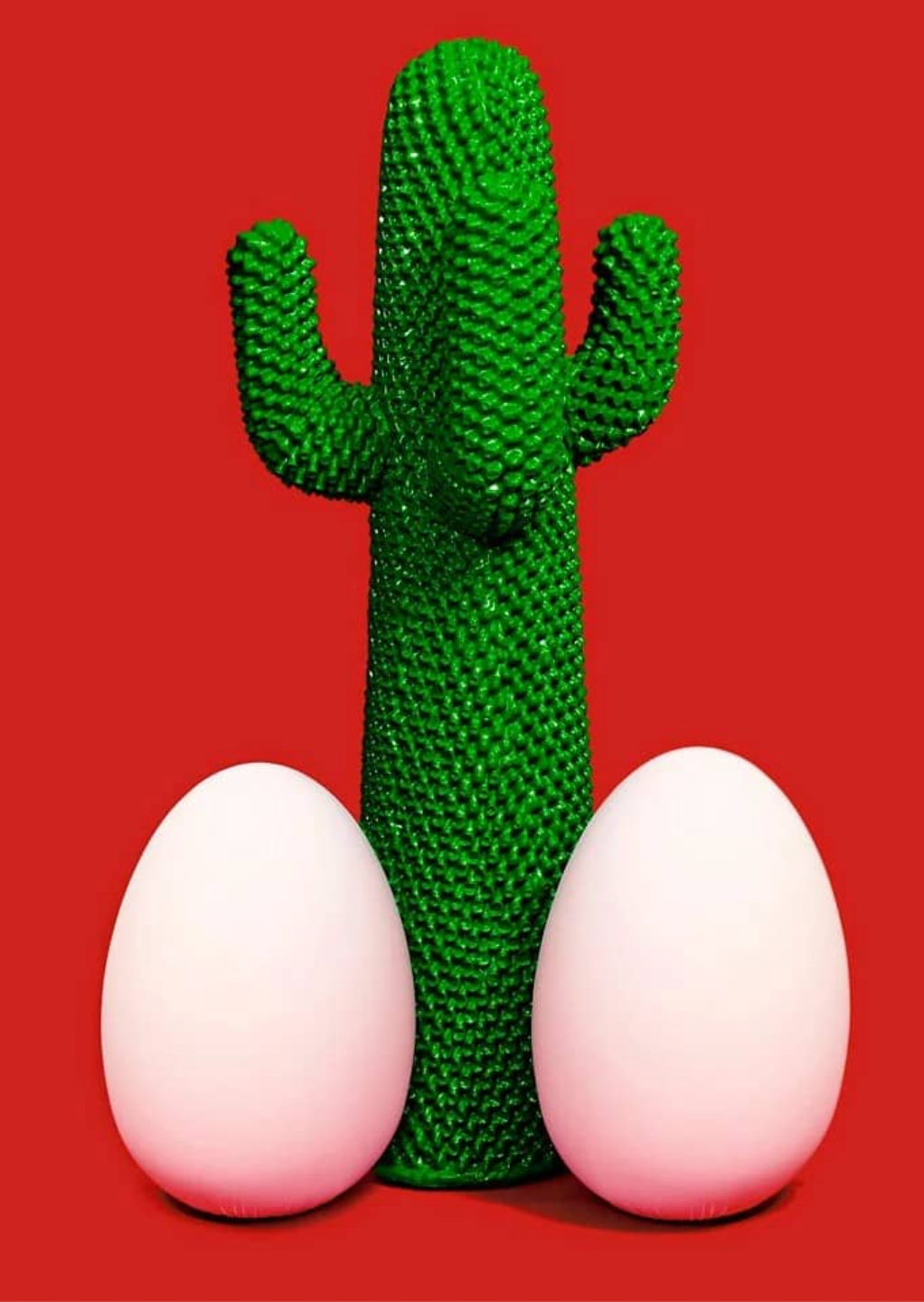 Giant Cactus Coat Rack