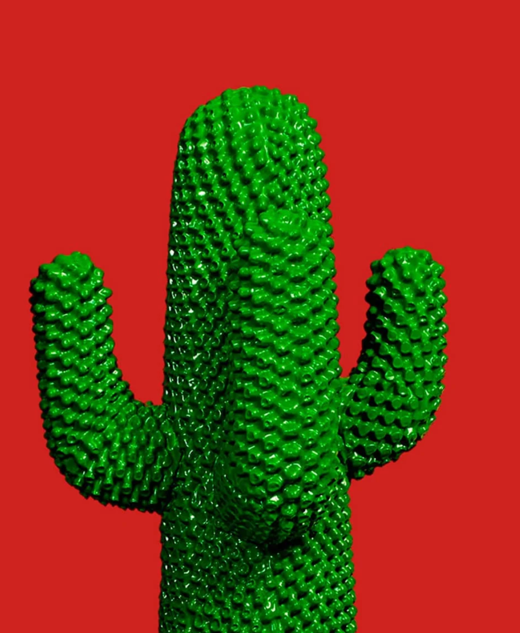 Giant Cactus Coat Rack