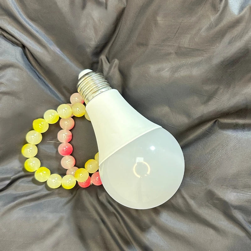 Secret Hiding Light Bulb