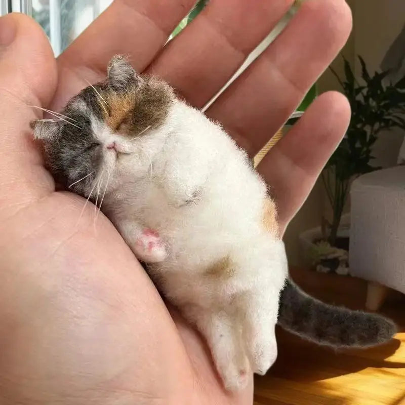 Wool Handpoke Cat Felting Kit