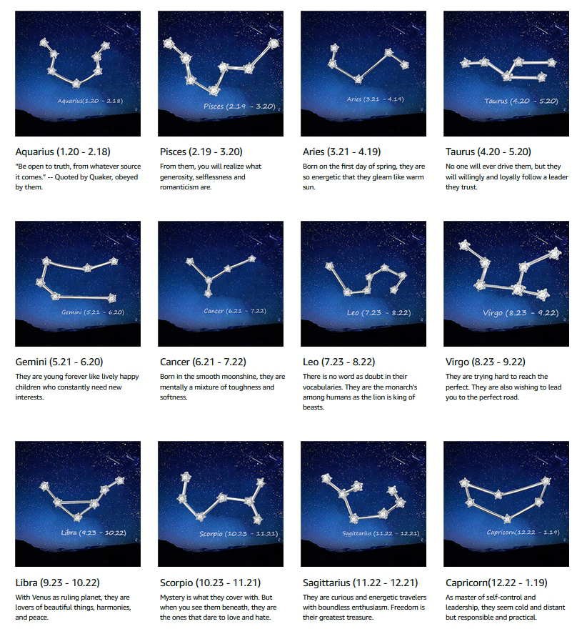 Zodiac Hair Pin