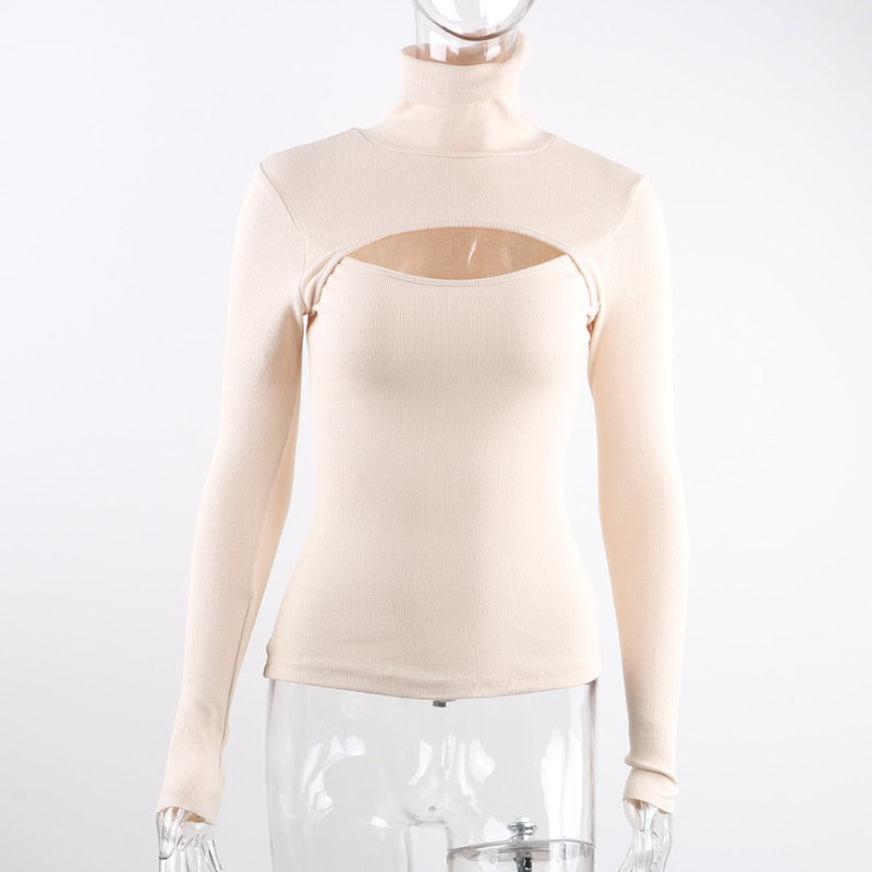 Knitted Ribbed Turtleneck Top