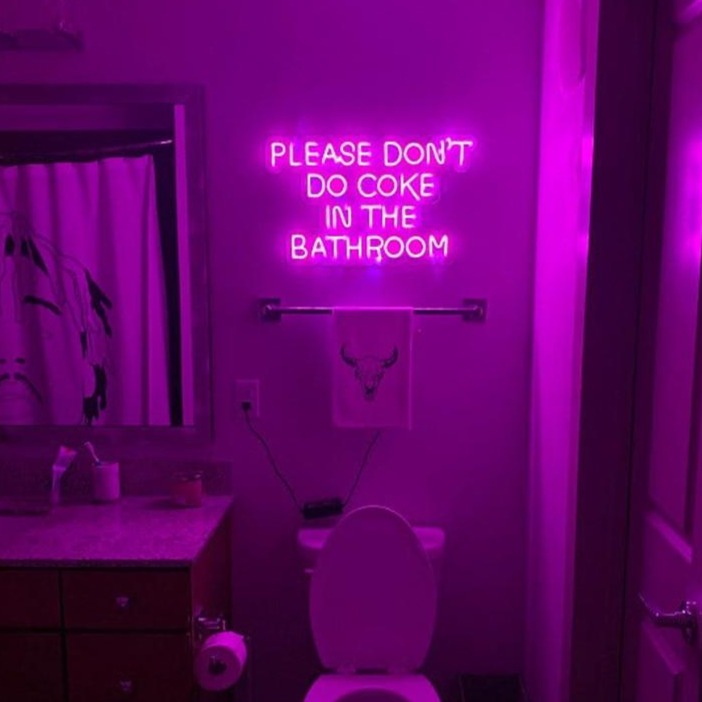 "Please Don't Do Coke in the Bathroom" Neon Sign