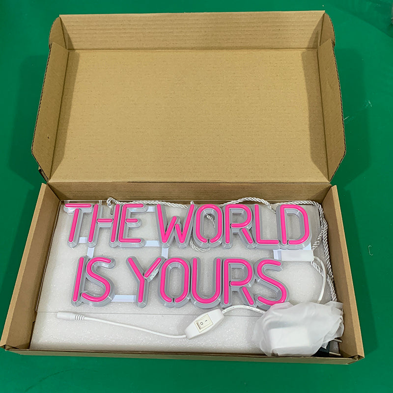 The World Is Yours Neon Light