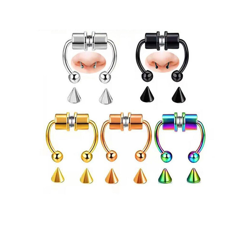 Magnet Septum Ring