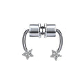 Magnet Septum Ring