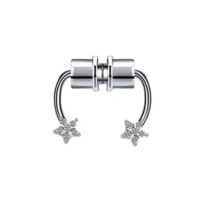Magnet Septum Ring