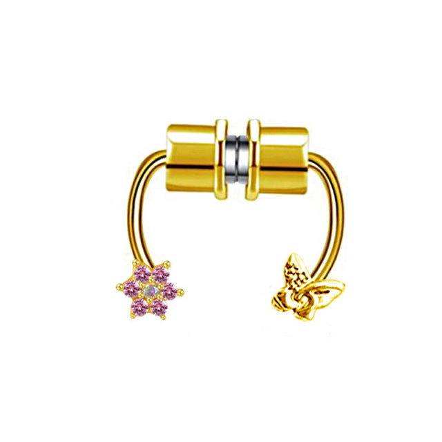 Magnet Septum Ring