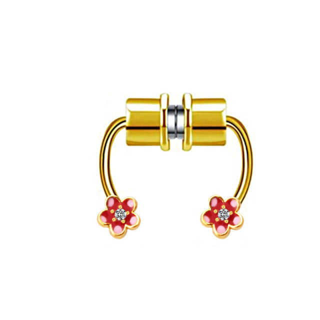 Magnet Septum Ring