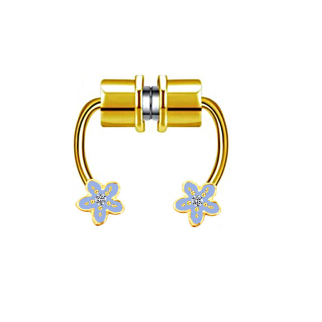 Magnet Septum Ring