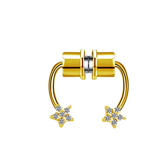 Magnet Septum Ring