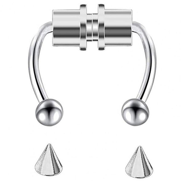 Magnet Septum Ring