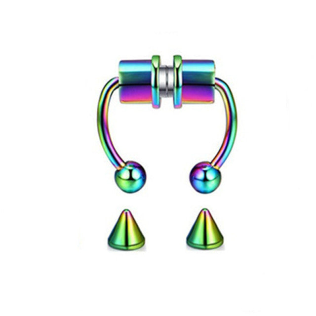 Magnet Septum Ring